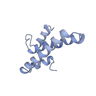 12248_7nau_O_v1-0
Bacterial 30S ribosomal subunit assembly complex state C (Consensus Refinement)