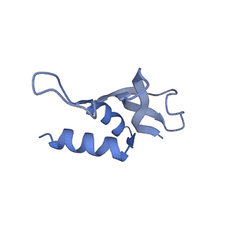 12248_7nau_P_v1-0
Bacterial 30S ribosomal subunit assembly complex state C (Consensus Refinement)