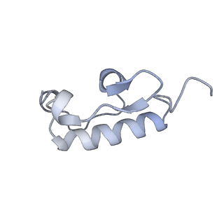 12248_7nau_R_v1-0
Bacterial 30S ribosomal subunit assembly complex state C (Consensus Refinement)
