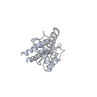 12249_7nav_B_v1-0
Bacterial 30S ribosomal subunit assembly complex state D (Consensus refinement)