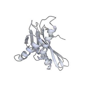12249_7nav_C_v1-0
Bacterial 30S ribosomal subunit assembly complex state D (Consensus refinement)