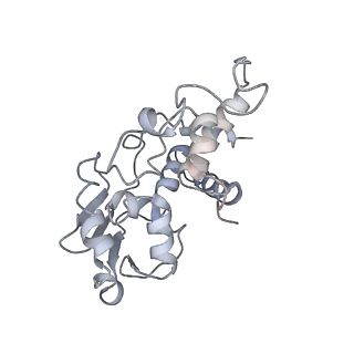 12249_7nav_D_v1-0
Bacterial 30S ribosomal subunit assembly complex state D (Consensus refinement)