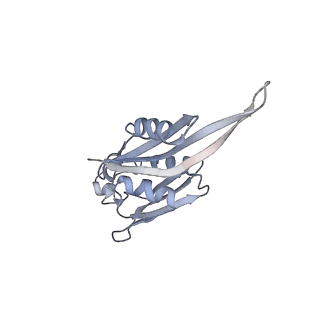 12249_7nav_E_v1-0
Bacterial 30S ribosomal subunit assembly complex state D (Consensus refinement)