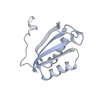 12249_7nav_F_v1-0
Bacterial 30S ribosomal subunit assembly complex state D (Consensus refinement)
