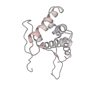 12249_7nav_G_v1-0
Bacterial 30S ribosomal subunit assembly complex state D (Consensus refinement)