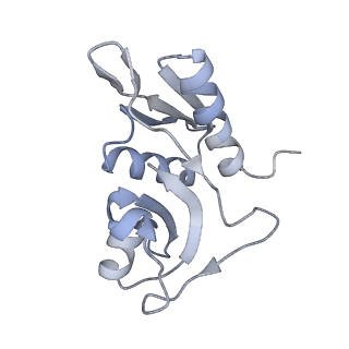 12249_7nav_H_v1-0
Bacterial 30S ribosomal subunit assembly complex state D (Consensus refinement)