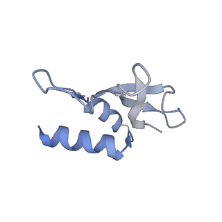 12249_7nav_P_v1-0
Bacterial 30S ribosomal subunit assembly complex state D (Consensus refinement)