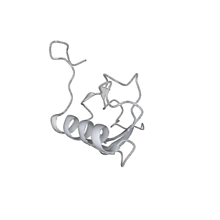 12249_7nav_S_v1-0
Bacterial 30S ribosomal subunit assembly complex state D (Consensus refinement)