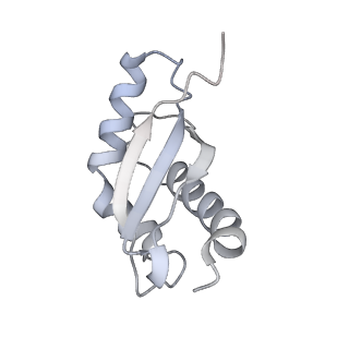 12249_7nav_V_v1-0
Bacterial 30S ribosomal subunit assembly complex state D (Consensus refinement)