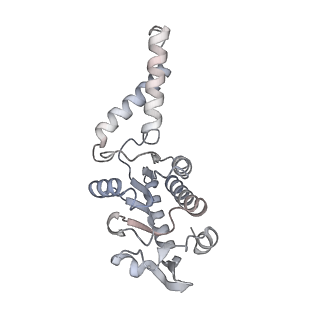 12251_7nax_B_v1-0
Complete Bacterial 30S ribosomal subunit assembly complex state I (Consensus Refinement)