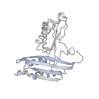 12251_7nax_C_v1-0
Complete Bacterial 30S ribosomal subunit assembly complex state I (Consensus Refinement)