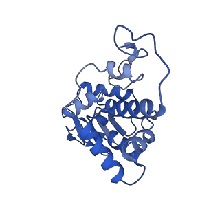 12251_7nax_D_v1-0
Complete Bacterial 30S ribosomal subunit assembly complex state I (Consensus Refinement)
