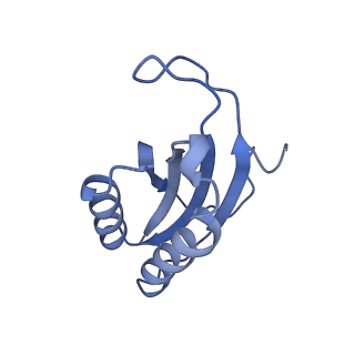 12251_7nax_F_v1-0
Complete Bacterial 30S ribosomal subunit assembly complex state I (Consensus Refinement)