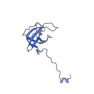 12251_7nax_L_v1-0
Complete Bacterial 30S ribosomal subunit assembly complex state I (Consensus Refinement)