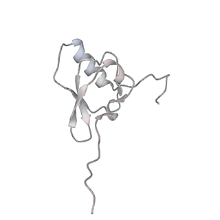 12251_7nax_S_v1-0
Complete Bacterial 30S ribosomal subunit assembly complex state I (Consensus Refinement)