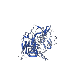 24266_7na6_C_v1-1
Cryo-EM structure of AAV True Type