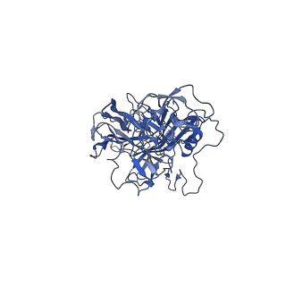 24266_7na6_X_v1-1
Cryo-EM structure of AAV True Type