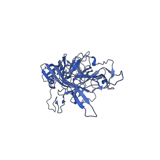 24266_7na6_a_v1-1
Cryo-EM structure of AAV True Type