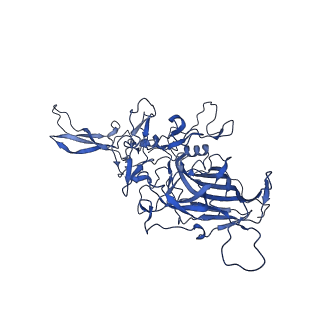 24266_7na6_d_v1-1
Cryo-EM structure of AAV True Type