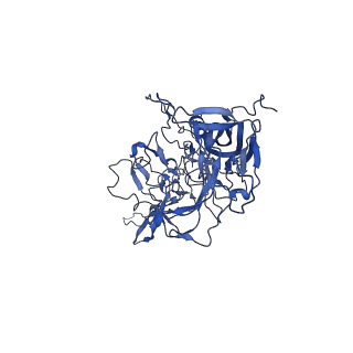 24266_7na6_h_v1-1
Cryo-EM structure of AAV True Type