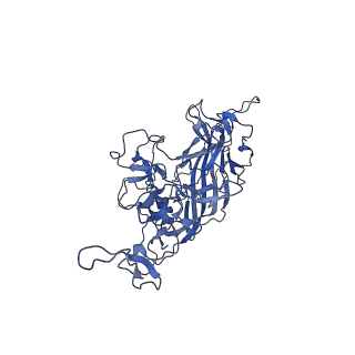 24266_7na6_l_v1-1
Cryo-EM structure of AAV True Type