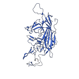 24266_7na6_t_v1-1
Cryo-EM structure of AAV True Type