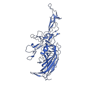24266_7na6_w_v1-1
Cryo-EM structure of AAV True Type