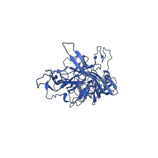24266_7na6_x_v1-1
Cryo-EM structure of AAV True Type