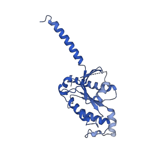 24268_7na8_A_v1-0
Structures of human ghrelin receptor-Gi complexes with ghrelin and a synthetic agonist