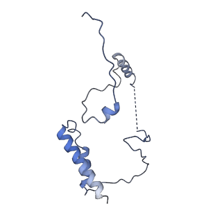 24269_7nac_7_v1-3
State E2 nucleolar 60S ribosomal biogenesis intermediate - Composite model