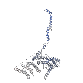 24269_7nac_8_v1-3
State E2 nucleolar 60S ribosomal biogenesis intermediate - Composite model