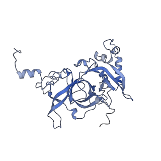 24269_7nac_B_v1-3
State E2 nucleolar 60S ribosomal biogenesis intermediate - Composite model