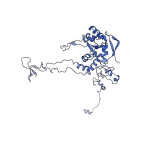 24269_7nac_C_v1-3
State E2 nucleolar 60S ribosomal biogenesis intermediate - Composite model