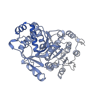 24269_7nac_D_v1-3
State E2 nucleolar 60S ribosomal biogenesis intermediate - Composite model
