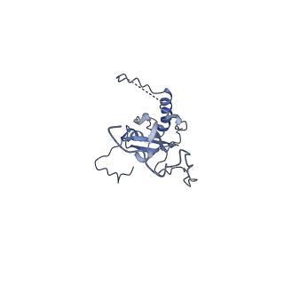 24269_7nac_E_v1-3
State E2 nucleolar 60S ribosomal biogenesis intermediate - Composite model