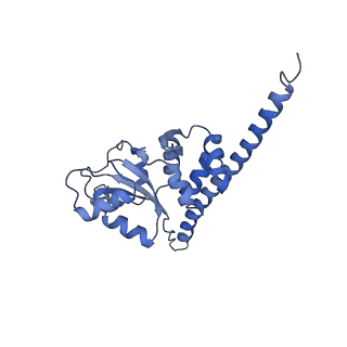 24269_7nac_F_v1-3
State E2 nucleolar 60S ribosomal biogenesis intermediate - Composite model