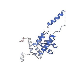 24269_7nac_G_v1-3
State E2 nucleolar 60S ribosomal biogenesis intermediate - Composite model