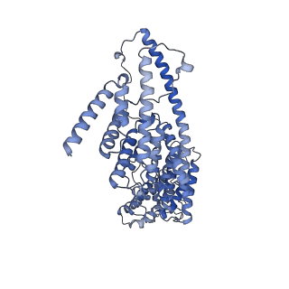 24269_7nac_I_v1-3
State E2 nucleolar 60S ribosomal biogenesis intermediate - Composite model