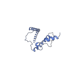 24269_7nac_J_v1-3
State E2 nucleolar 60S ribosomal biogenesis intermediate - Composite model