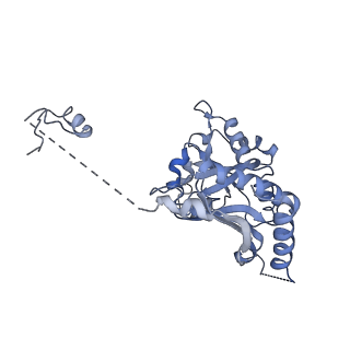 24269_7nac_K_v1-3
State E2 nucleolar 60S ribosomal biogenesis intermediate - Composite model