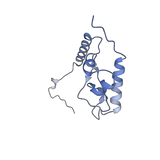 24269_7nac_L_v1-3
State E2 nucleolar 60S ribosomal biogenesis intermediate - Composite model