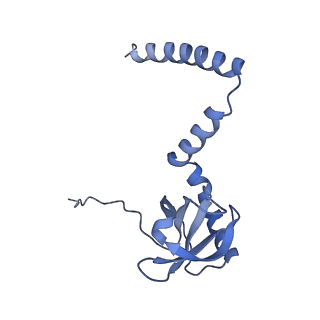 24269_7nac_M_v1-3
State E2 nucleolar 60S ribosomal biogenesis intermediate - Composite model