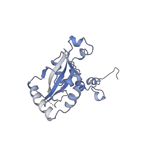 24269_7nac_N_v1-3
State E2 nucleolar 60S ribosomal biogenesis intermediate - Composite model