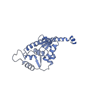 24269_7nac_O_v1-3
State E2 nucleolar 60S ribosomal biogenesis intermediate - Composite model