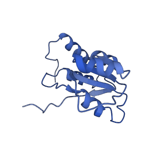 24269_7nac_Q_v1-3
State E2 nucleolar 60S ribosomal biogenesis intermediate - Composite model