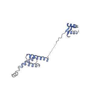 24269_7nac_R_v1-3
State E2 nucleolar 60S ribosomal biogenesis intermediate - Composite model