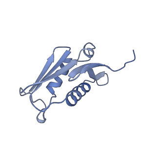 24269_7nac_U_v1-3
State E2 nucleolar 60S ribosomal biogenesis intermediate - Composite model