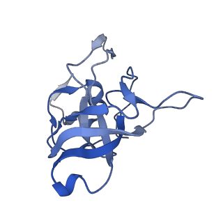 24269_7nac_V_v1-3
State E2 nucleolar 60S ribosomal biogenesis intermediate - Composite model