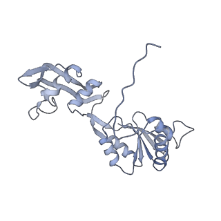 24269_7nac_W_v1-3
State E2 nucleolar 60S ribosomal biogenesis intermediate - Composite model