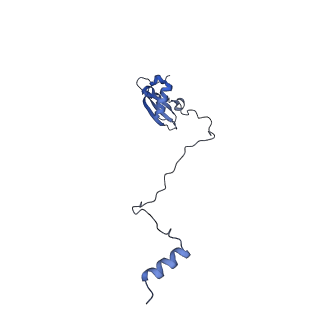 24269_7nac_X_v1-3
State E2 nucleolar 60S ribosomal biogenesis intermediate - Composite model